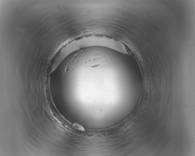 X0000077990434200611171758