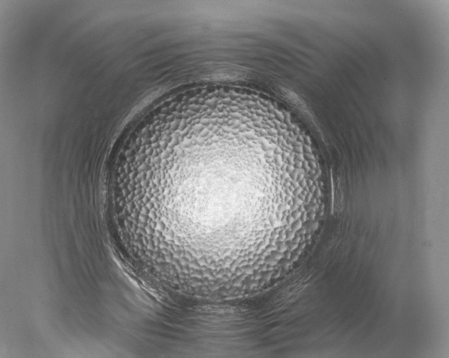 X0000077990435200611171758