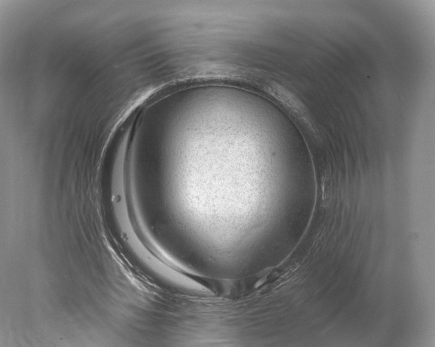 X0000077990436200611171758