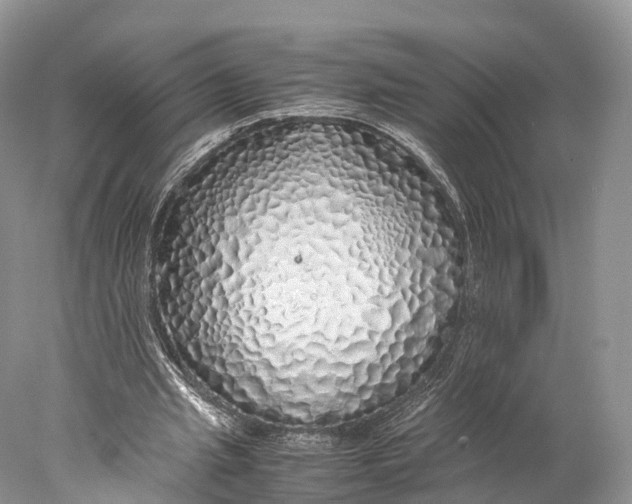 X0000077990437200611171758