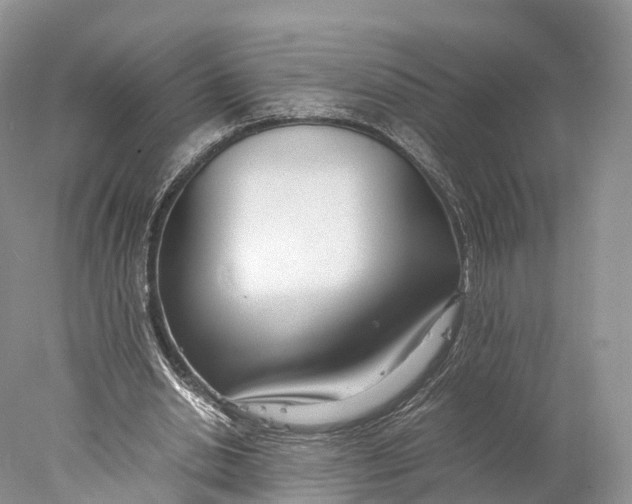 X0000077990438200611171758