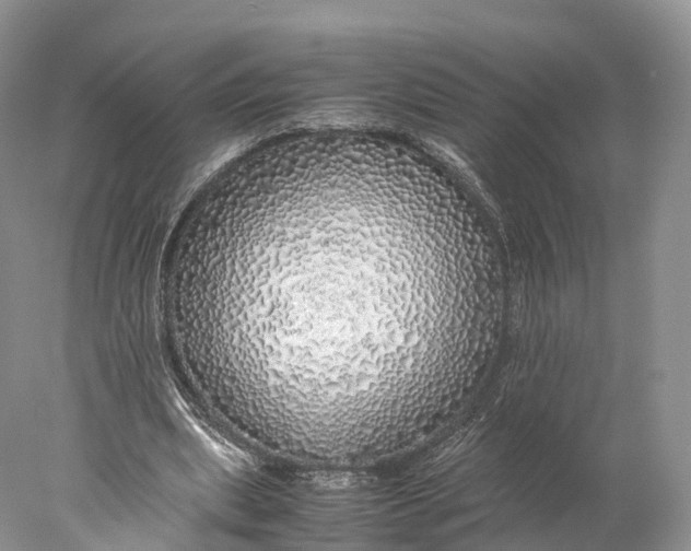 X0000077990439200611171758