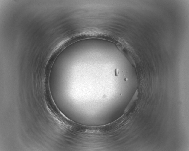 X0000077990440200611171758