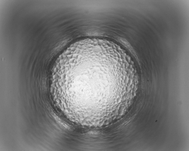 X0000077990441200611171758