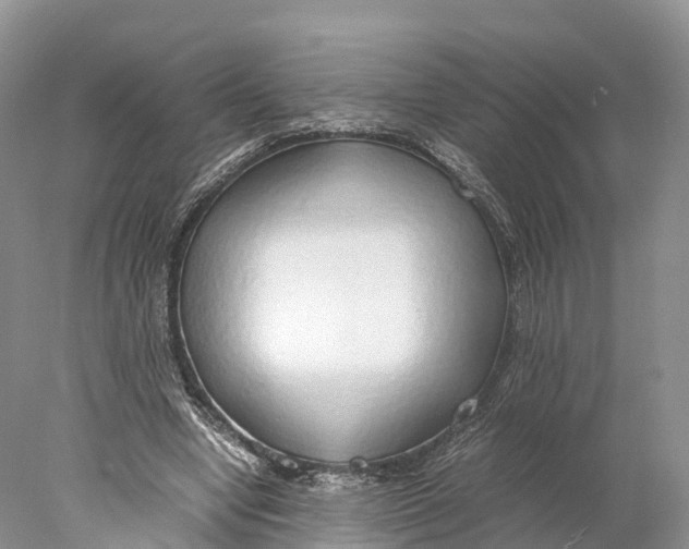 X0000077990442200611171758