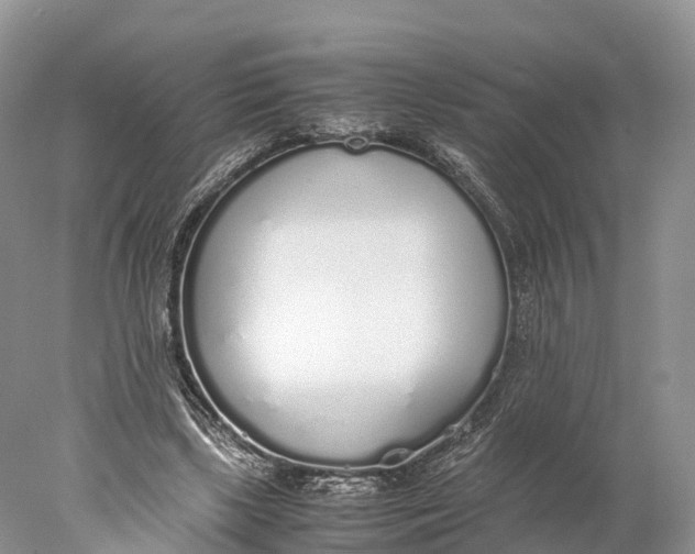 X0000077990443200611171759