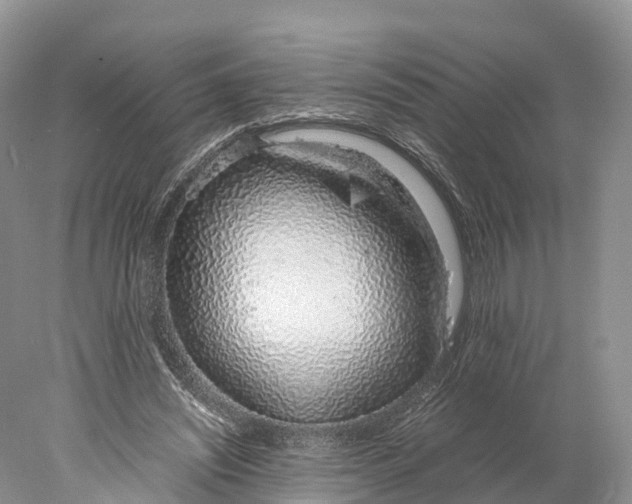 X0000077990444200611171759