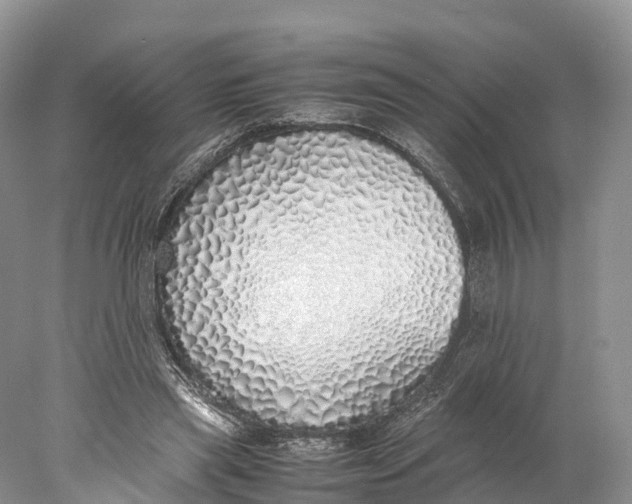 X0000077990445200611171759