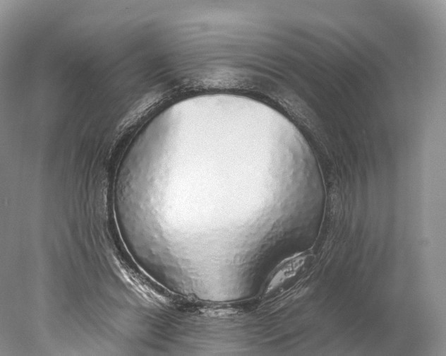 X0000077990446200611171759