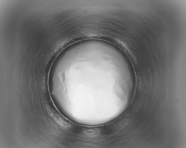 X0000077990447200611171759