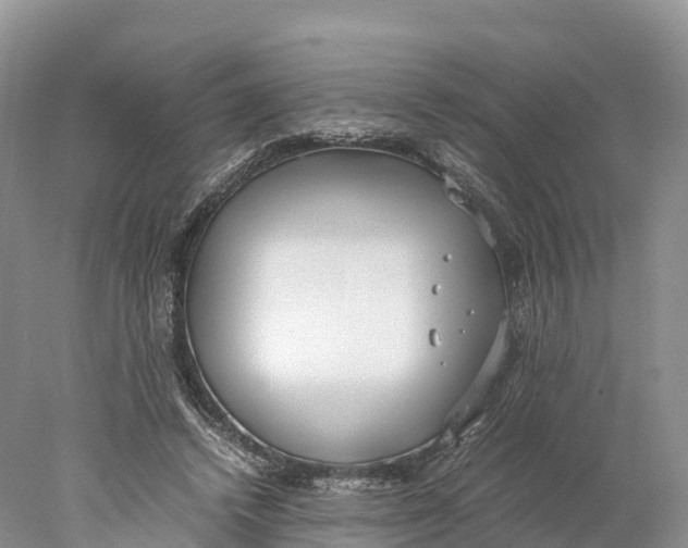 X0000077990448200611171759