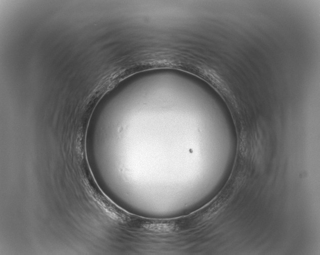 X0000077990449200611171759