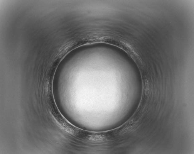 X0000077990451200611171759