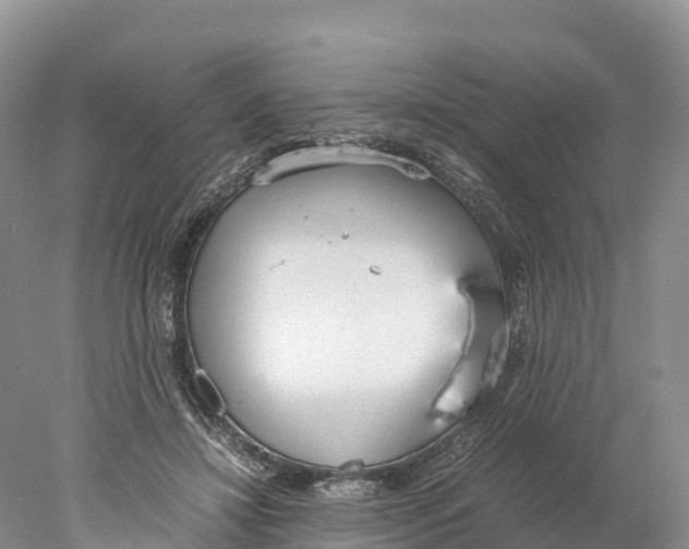 X0000077990452200611171759