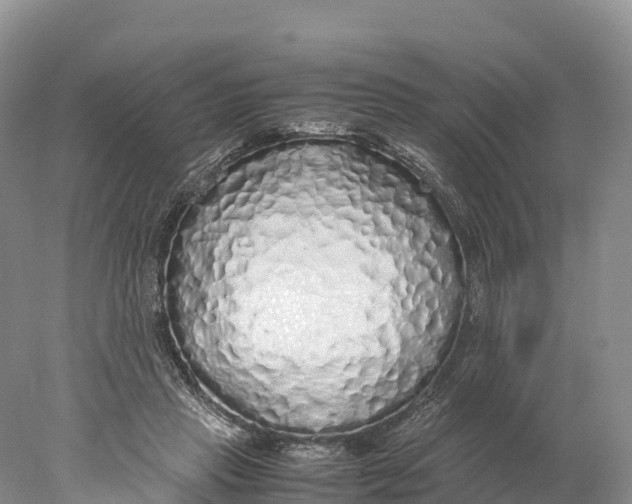 X0000077990453200611171759