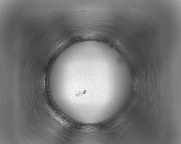 X0000077990454200611171759