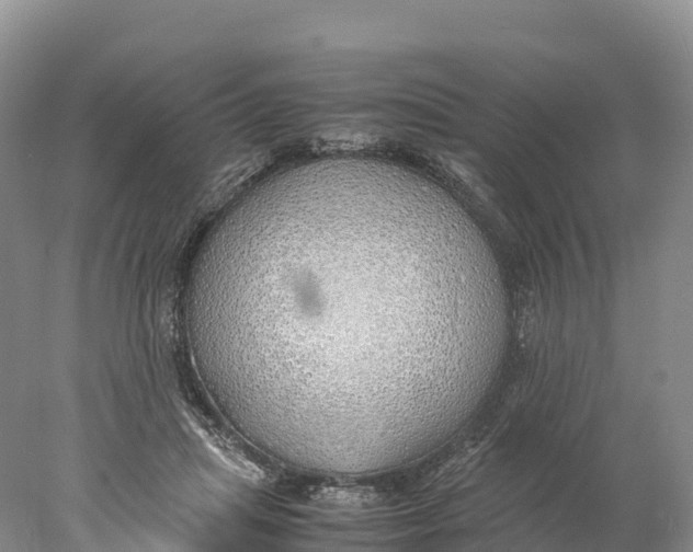 X0000077990455200611171759