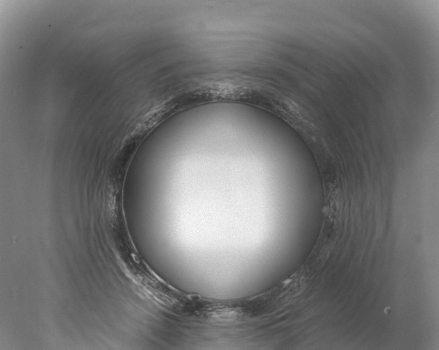 X0000077990456200611171759