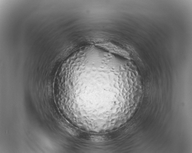 X0000077990457200611171759