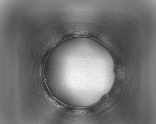 X0000077990458200611171759