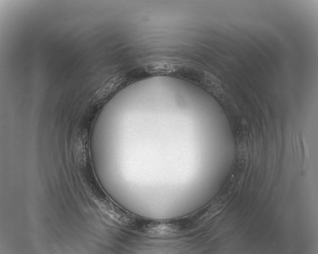 X0000077990460200611171759