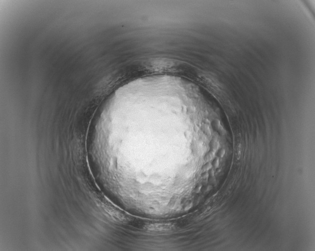 X0000077990461200611171759