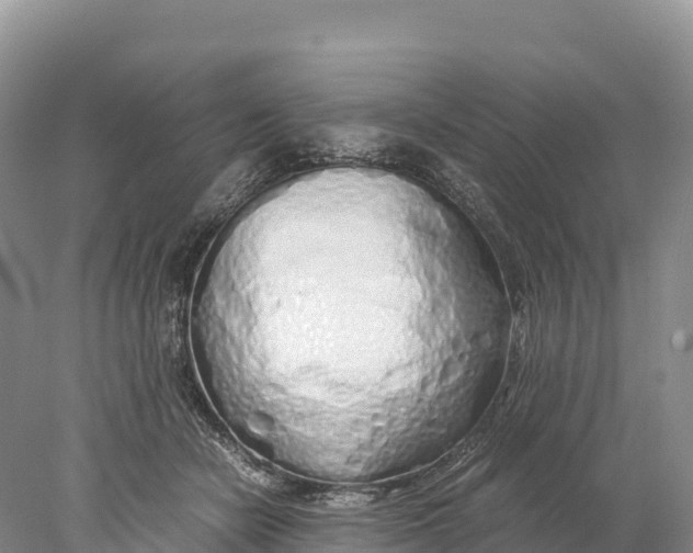 X0000077990462200611171759