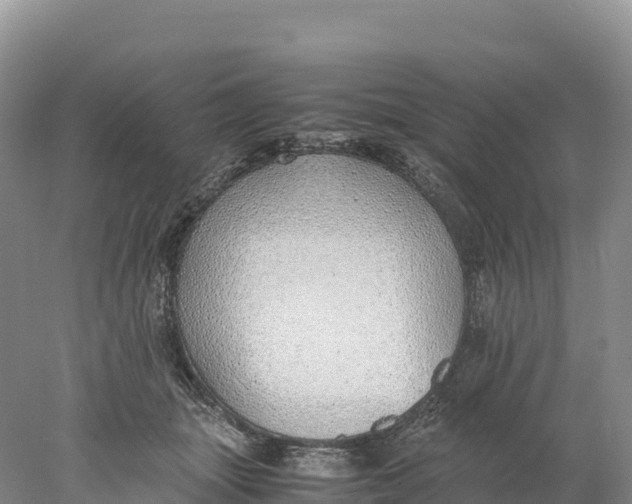 X0000077990463200611171759