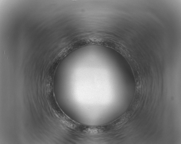 X0000077990464200611171759