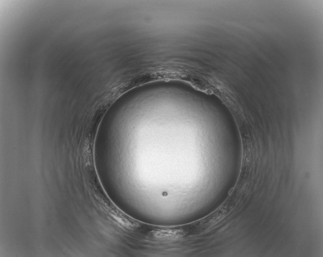 X0000077990465200611171759