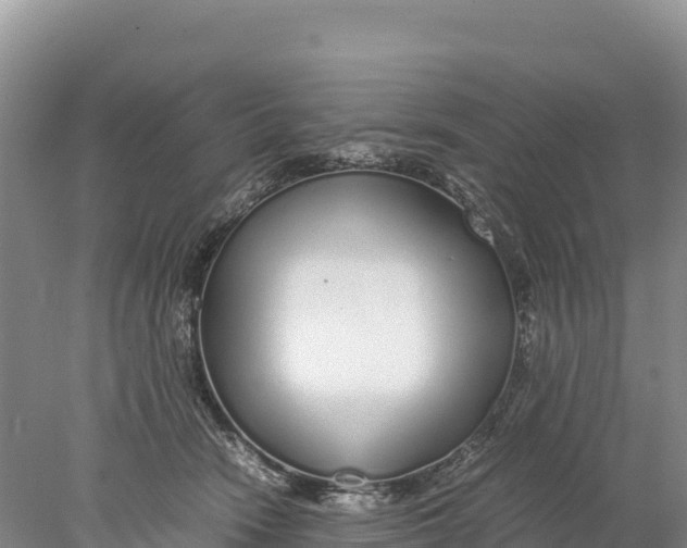 X0000077990466200611171759