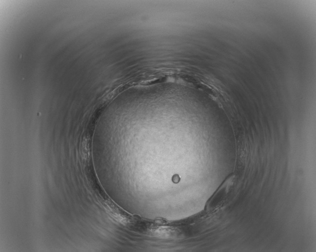 X0000077990467200611171759