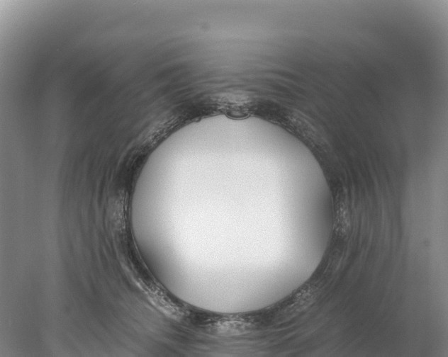 X0000077990468200611171759