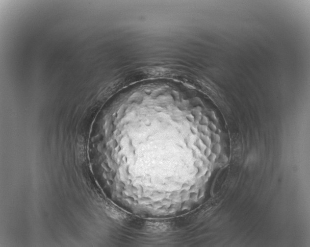 X0000077990469200611171759