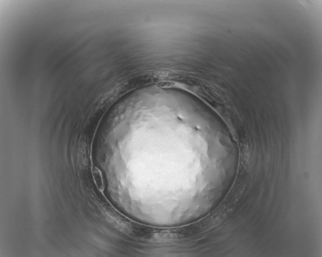 X0000077990470200611171759