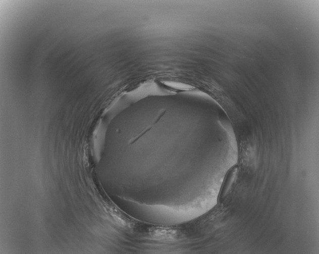 X0000077990471200611171759