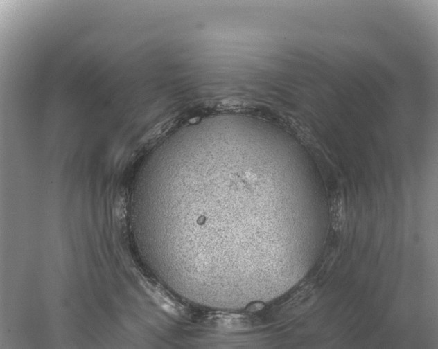 X0000077990472200611171759