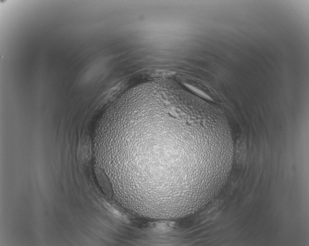 X0000077990474200611171759