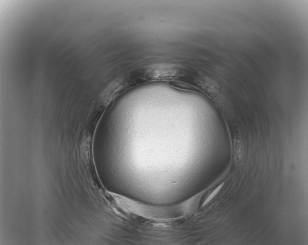 X0000077990475200611171759