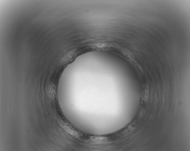 X0000077990476200611171759