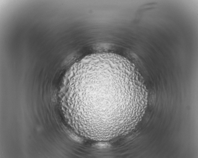 X0000077990477200611171759