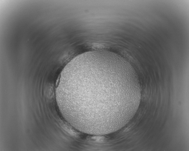 X0000077990478200611171759