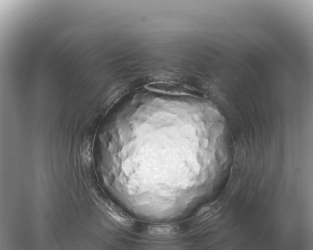 X0000077990479200611171759