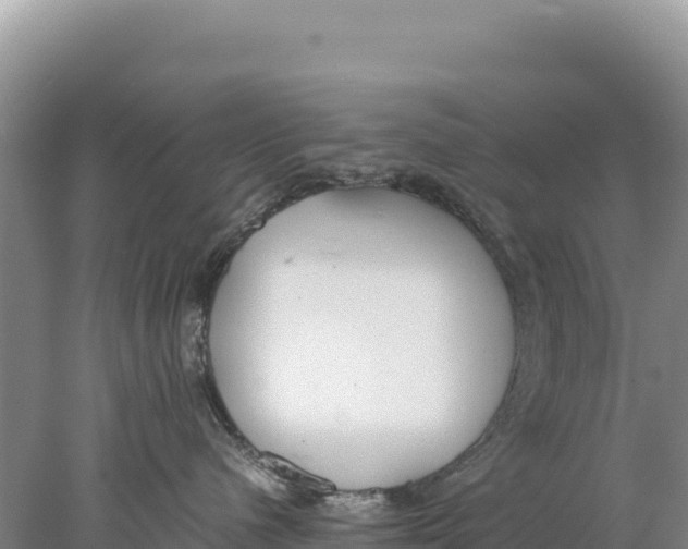 X0000077990480200611171759