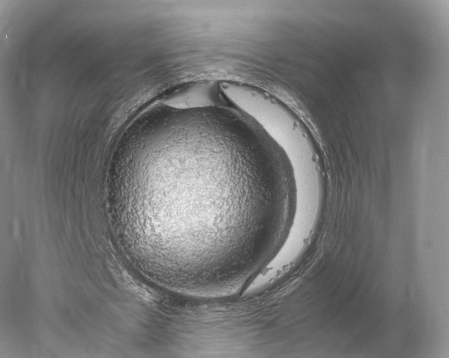 X0000077990481200611171758