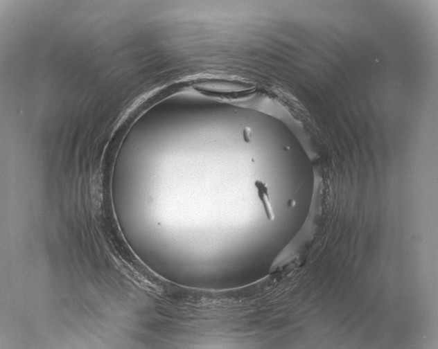 X0000077990484200611171758