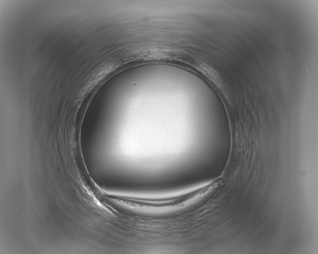 X0000077990485200611171758