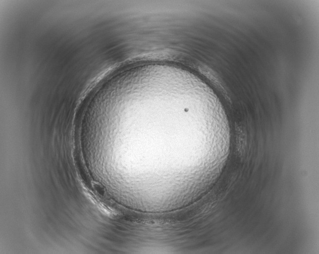 X0000077990486200611171758