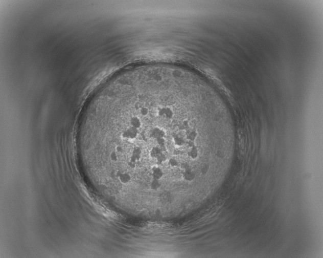 X0000077990487200611171758