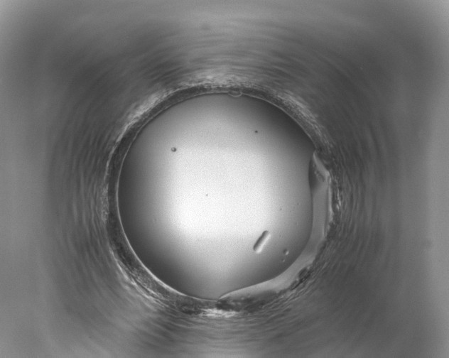 X0000077990488200611171758